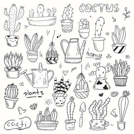 Set of vector doodle icons of home plants in pots. Cute black and white lined cacti and succulents in different shapes and sizes. Stickers on the theme of gardening and home comfort.のイラスト素材
