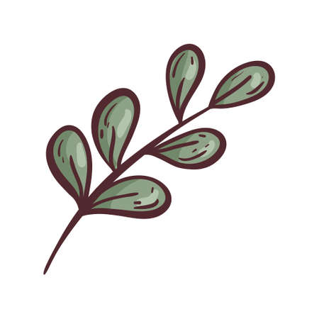 Vector isolated doodle illustration on white background. A single branch of a herb or plant with leaves. Little twig. Natural element for decoration or design.のイラスト素材