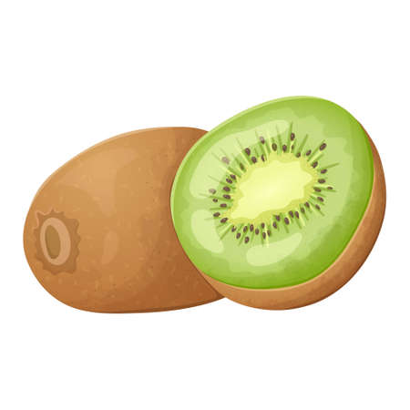 Vector isolated illustration of a realistic whole and halved kiwi. A healthy tropical vitamin fruit.のイラスト素材