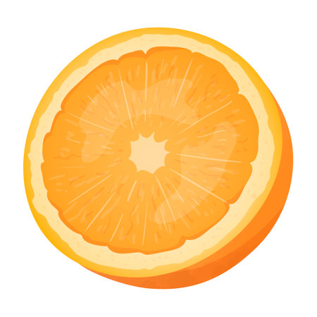 Vector isolated illustration of half an orange with zest, twig and leaf. A healthy and natural citrus fruit with pulp.のイラスト素材