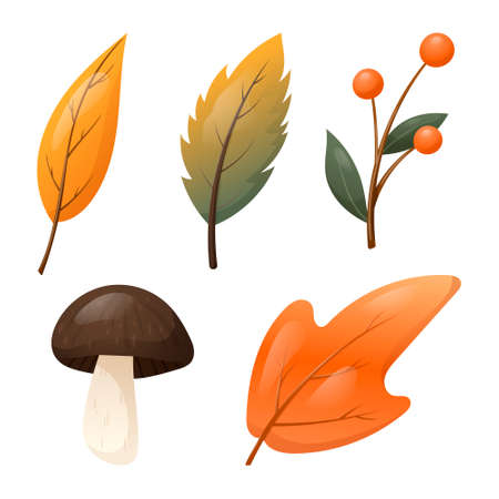 Set of vector isolated autumn elements. Fallen dry orange leaves, a forest mushroom and a twig with berries.のイラスト素材