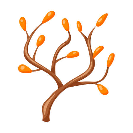 Vector cartoon isolated illustration of a tree branch with twigs and orange leaves or fruits.のイラスト素材