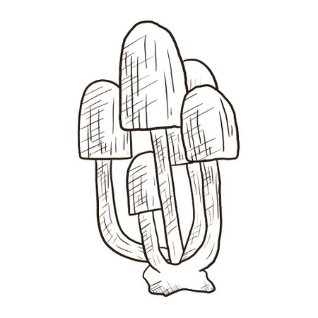 Vector autumn doodle illustration of a bunch of woody mushrooms in outline style.のイラスト素材