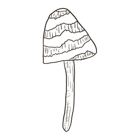 Vector isolated doodle illustration of wild mushroom toadstool.のイラスト素材
