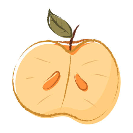 Vector doodle illustration of half apple with seeds and leaf.のイラスト素材