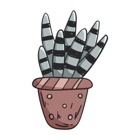 Vector doodle illustration of a house plant succulent in a pot isolated on white.のイラスト素材