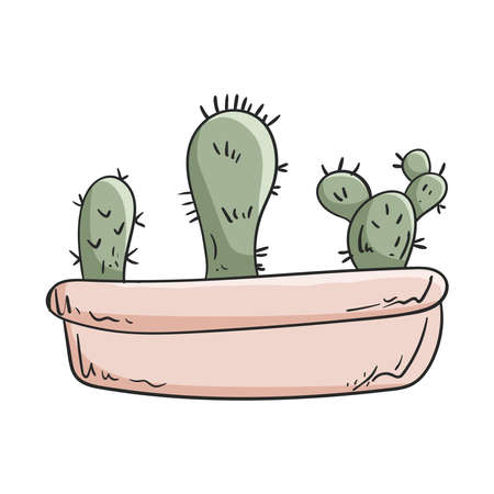 Vector doodle illustration of planter with cactus home plants set isolated on white.のイラスト素材