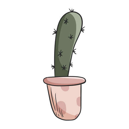 Vector doodle illustration of home plant, cactus in a pot.のイラスト素材
