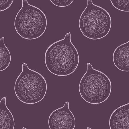 Ripe fig fruit in sketch style, vector seamless pattern.のイラスト素材