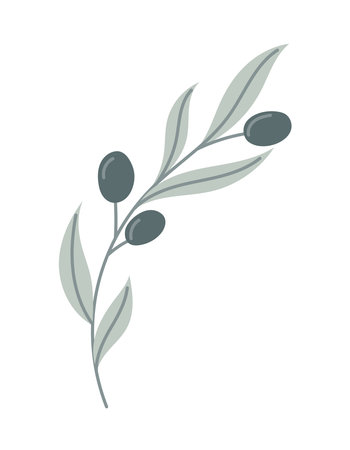 Vector isolated Olive branch with berries and leaves in flat style.のイラスト素材