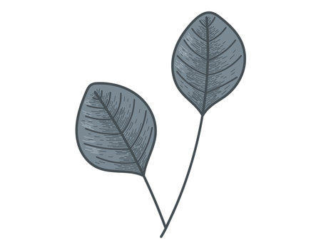 Decorative vector flat twig with leaves. Natural isolated plant design element, sketch style.のイラスト素材
