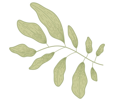Vector flat decorative twig with green leaves, isolated plant branch in sketch style.のイラスト素材
