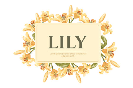 Decorative botanical label illustration. Floral arrangement, frame of yellow cartoon lily flowers. Vector isolated Design element for packaging.のイラスト素材