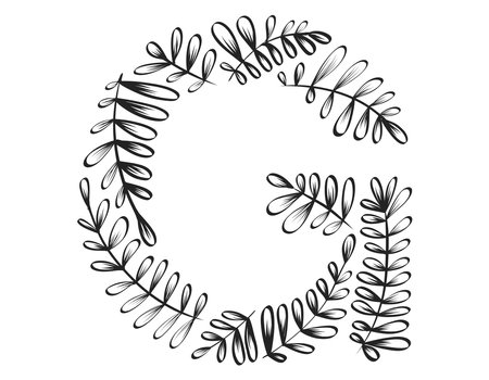 Isolated vector decorative letter G of the Latin alphabet. Botanical font, black branches and leaves.のイラスト素材