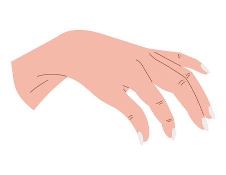 Elegant female hand with manicure. Vector isolated flat illustration.のイラスト素材
