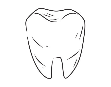 Hand drawn black and white vector tooth illustration. Simple line sketch of molar, dental care concept.のイラスト素材