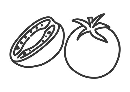 Black and white line doodle illustration of two tomatoes, one whole with a stem and one sliced showing seeds. Minimalist hand drawn vegetable design, isolated on white.のイラスト素材