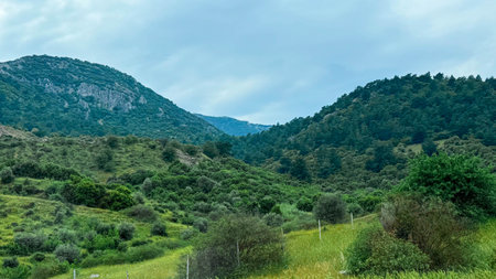 Lush green hills and forests under cloudy sky in Turkiye, tranquil mountain landscape with rich vegetation and dramatic atmosphereの写真素材