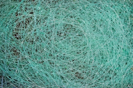 fishing line with water drops (background)の写真素材