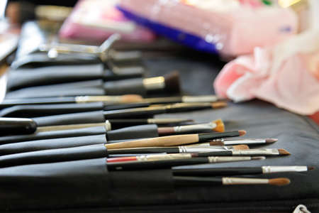Makeup brushes in professional black bag 