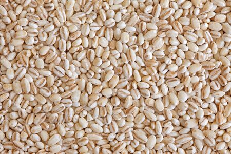Pearl barley  pearled barley  texture background  Cooked mainly in soups and stews, also as an ingredient for stuffing cooked potages or sweet dishes  の写真素材
