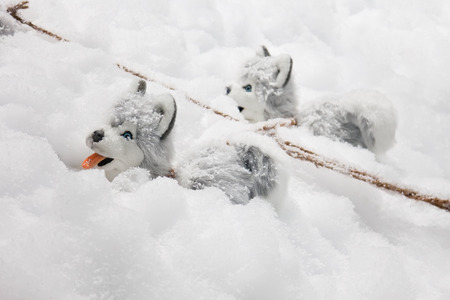 Christmas decoration with two plush dogs Alaskan Malamute in the snow.の写真素材