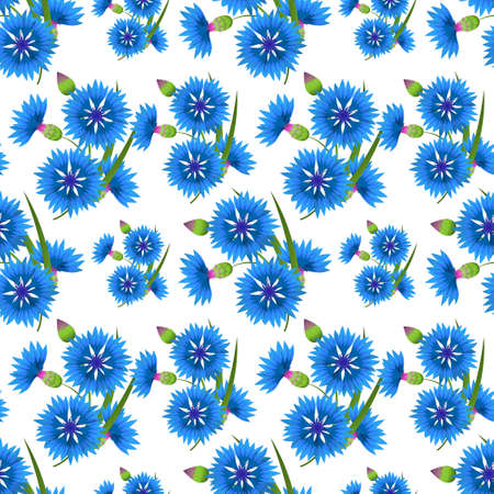Seamless pattern with blue cornflowers. Vector illustration.のイラスト素材