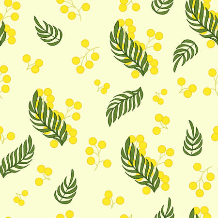 Seamless vector pattern with mimosa flower. Buds and leaves.