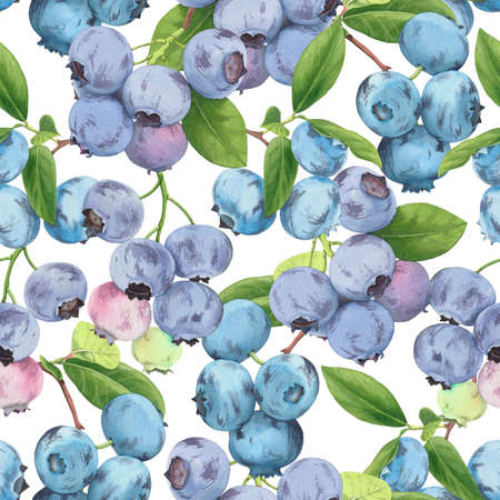 Watercolor seamless pattern with blueberries. Summer pattern.の写真素材