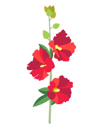 Beautiful red buds of mallow with green leaves.のイラスト素材
