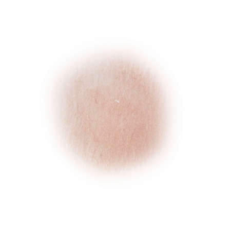 Powder blot, nude body tone, natural shade. A powdery spot of watercolor, a round brush, a painted beige circle with blurred edges.の写真素材