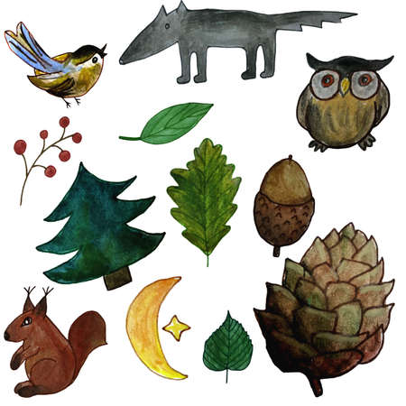 Forest set, painted in watercolor. Bird, wolf, owl, squirrel, acorn, cone, leaves of trees, pruce, moon and berries. Depicted by hand. For design of children's accessories. Simple pictures for the design of notebooks and children's things.の写真素材