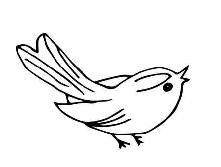 Vector doodle bird. A hand-drawn tit sketch. bird cartoon illustration.のイラスト素材