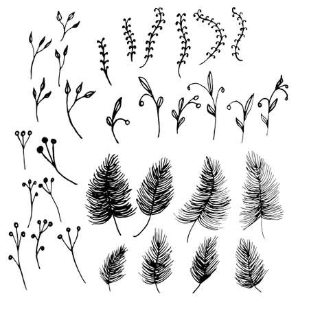 Doodle illustration of twigs, feathers, berries, leaves, plants. Botanical drawing. Black scribbles on a white backgroundのイラスト素材