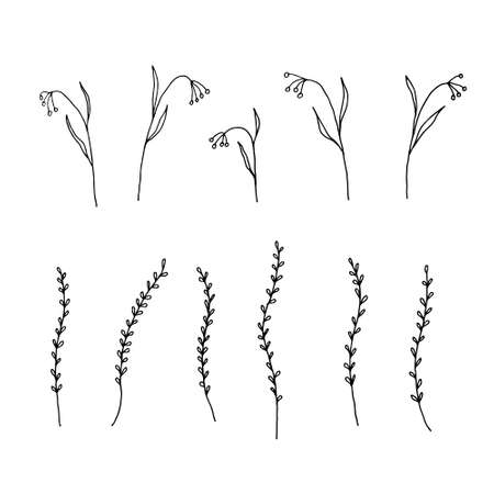 collection with branches and herbs with leaves. Black silhouettes isolated on white background. Set of hand drawn vector decorative elements for your design. Doodle set of painted twigsのイラスト素材