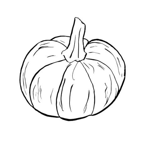 Pumpkin black and white icon. Doodle Pumpkin sketch. Vector illustration of vegetable outline. Simple monochrome image. Hand drawn ink illustrationのイラスト素材
