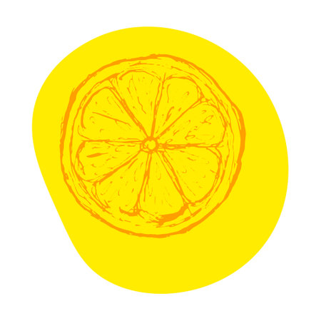 Slice of orange, hand-painted on yellow spot. Sketch illustration of healthy citrus product isolated on white background. Juicy fruit for cocktail, attribute of drinks.のイラスト素材
