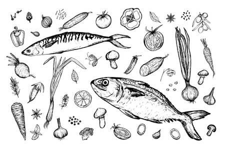 Vegetables, fish, spices big set sketch, hand drawn illustration on white background. Harvesting, food vector image. Black and white hand-drawn drawing. Various food items for the stores signage.のイラスト素材