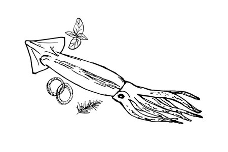 Edible squid with onions and spices. Black and white doodle illustration isolated on white background. Hand drawn seafood image.のイラスト素材