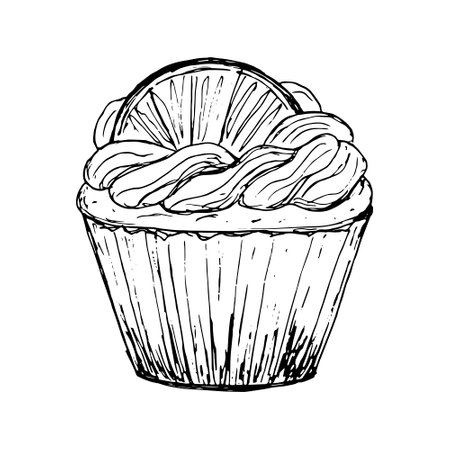Cupcake vector hand drawn illustration. Citrus mini cake. Creamy Muffin drawing. Monochrome black and white sketch isolated on white background.のイラスト素材