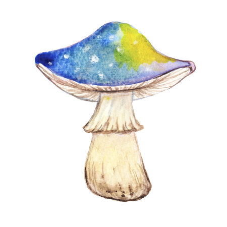 Beautiful bright watercolor mushroom fly agaric drawn isolated. Large mushroom with blue cap and white spots for cartoon posters.の写真素材