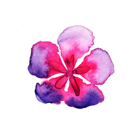 Beautiful bright Watercolor flower. Isolated botanical element in white background. Hand-Drawn pink-violet open bud for decorating postcards, posters.の写真素材