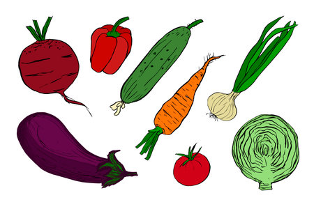 Colored vegetables doodle set, hand drawn illustrations isolated on white background. Harvesting, vegetarianism.のイラスト素材