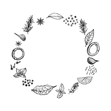 Frame of spices isolated on white background. Vector black and white illustration, hand-drawn doodle. Onion rings, garlic cloves, thyme, fennel, lemon, cloves, anise, basil, saffron, and bay leaves.のイラスト素材