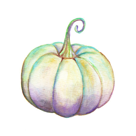 Pumpkin Isolated on white background. Hand drawn pumpkin Watercolor. Vegetables, harvest, colored botanical illustration.の写真素材