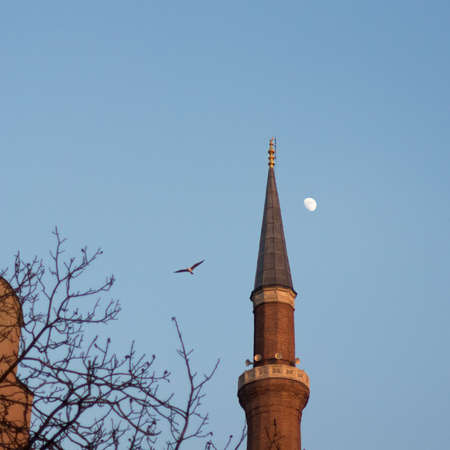 Hagia Sofia minaret during twilight, Istanbul, Turkeyの写真素材