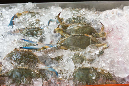 Blue crabs on ice in open buffet restaurantの写真素材