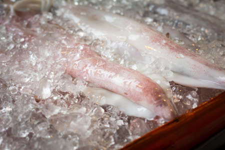 Raw calamari on ice in open buffet restaurant. Shallow DOFの写真素材