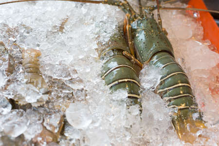 Raw crawfishes on ice in an open buffet restaurantの写真素材