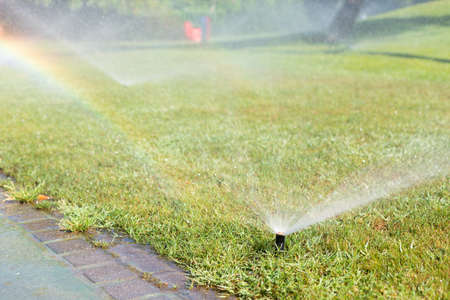 Sprinkler working on a green grass lawnの写真素材